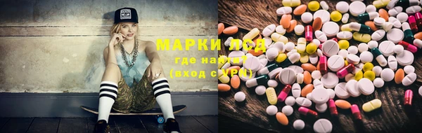 крисы Бугульма